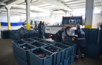 ­Büyükşehir’den 1500 aileye gıda yardımı