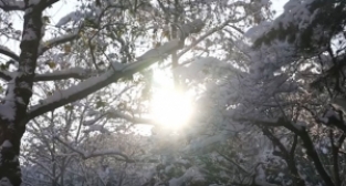  350 kişilik kar timi görev başında