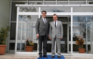 Sokak hayvanlarına 24 saat tedavi